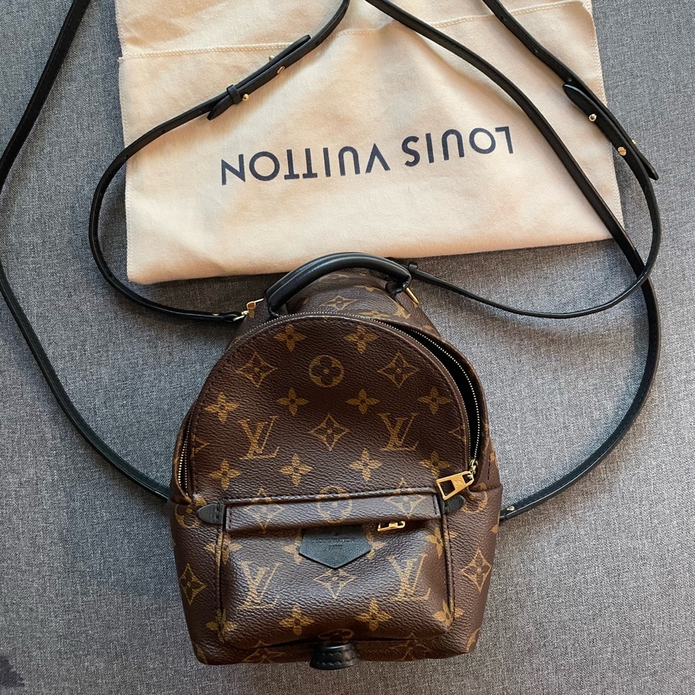 Louis Vuitton mini Palm Springs